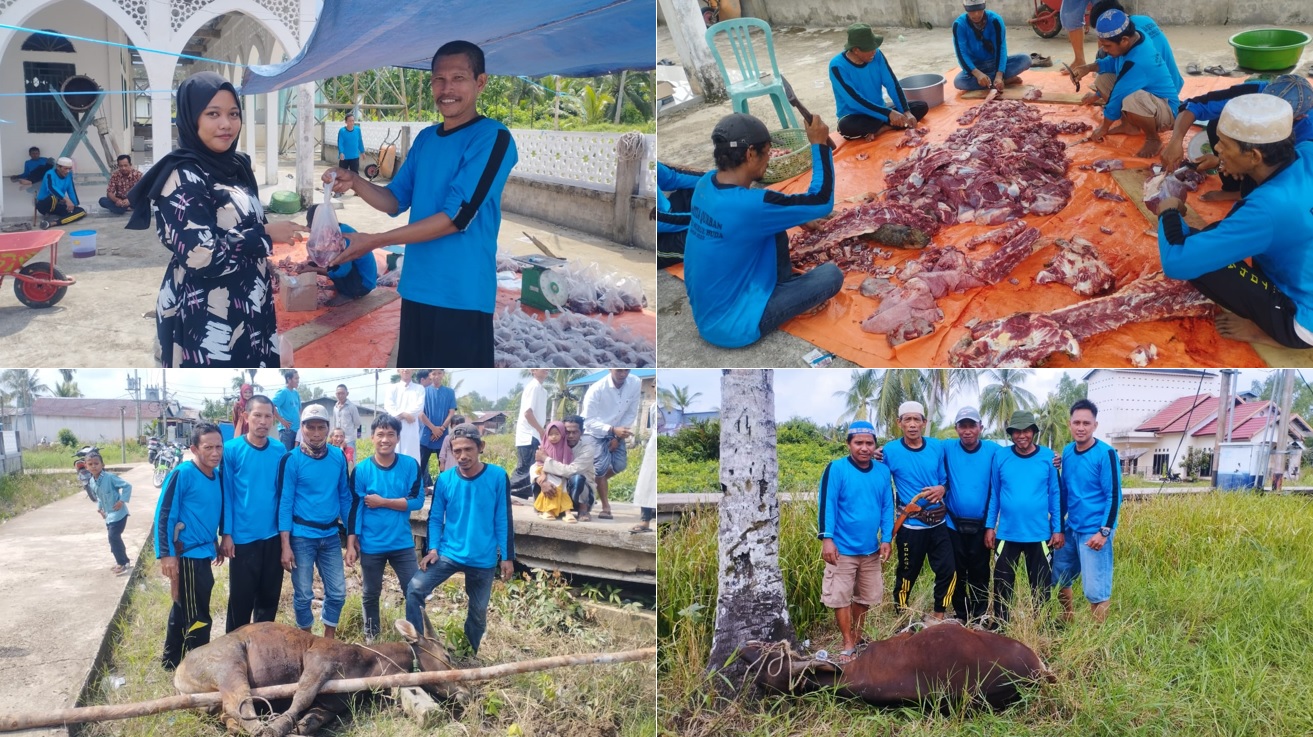 Pelaksanaan Qurban di Desa Pemusiran Berjalan Lancar, 6 Sapi Qurban Dinikmati Oleh Seluruh Masyarakat