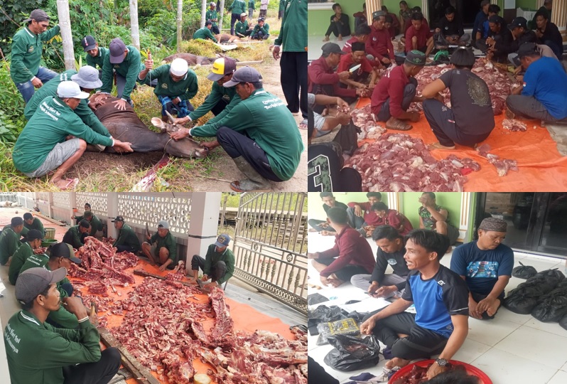 Pelaksanaan Qurban di Desa Pemusiran: 22 Sapi Qurban Dipotong dan Dibagikan Kepada Seluruh Warga